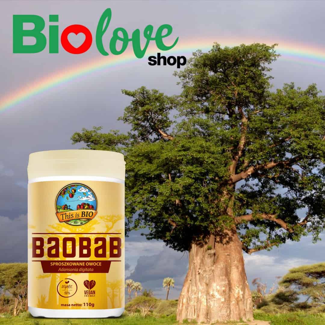 Organiczne sproszkowane owoce baobabu do kaszki dla niejadka