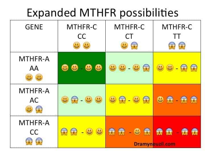 Mutacja genu MTHFR – czy możesz zmienić swoje DNA